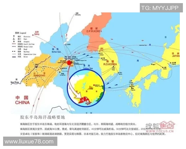 杭州篮球队的意识探讨与发展路径分析