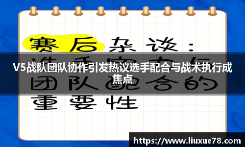 V5战队团队协作引发热议选手配合与战术执行成焦点